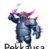 Avatar for PapuSokol