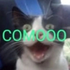 Avatar di k4n0e