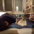 Caprisun02 的头像