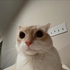 Avatar for twocanned