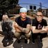 Avatar for blink-182