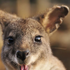 Avatar for Grace_653_8