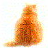 Avatar for OrangeCats