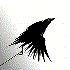 Avatar for kqjn