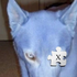 Avatar di nr6c