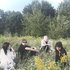 kellyviewcontrol 的头像