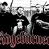 Avatar for The Bridgeburners