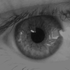 Avatar for Jimgiu