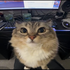 Avatar for dylanmkbat