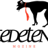 Avatar for notedetengas