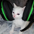 Avatar for Roki1212
