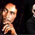 Bob Marley vs. Funkstar Deluxe 的头像