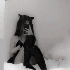 Avatar di C9K