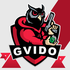 Avatar de gvid0z0r