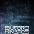 Avatar for Bluebird Kinetics