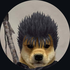 Avatar for Fureiku