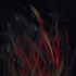Avatar for haeler