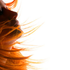 Avatar de -mephisto-