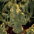 Avatar de kevinicidius