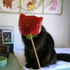 Avatar für mikachiari