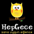 HepGece için avatar