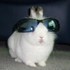 Avatar di Wraphaill