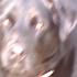 kdale_dog 的头像