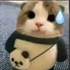Avatar for sarachook