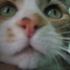 Avatar for oofer22