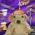 Avatar für NotLilShrimp