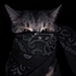 Avatar for zensis