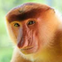 Avatar for Encali