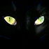 Avatar for chats_noirs