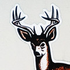 liesen için avatar