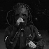 Avatar for FLEXORCISM