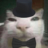 Avatar for zenglishowo