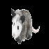 ALpossum 的头像