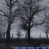 Аватар для Echodrome