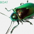 Avatar for Steamboat