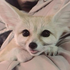 Avatar for peedmybed