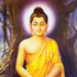 Awatar dla buddhabud