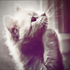Avatar for rxaqt
