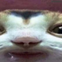 Avatar di bread_eater_