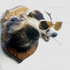 Avatar de broccoli_badger