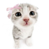 Avatar for nampsu