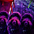 Marcusss__ için avatar