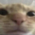 Tufty__ 的头像