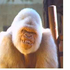 Avatar für ElSoRn