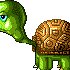 Avatar for tortugo