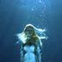 Avatar for iamamiwhoami